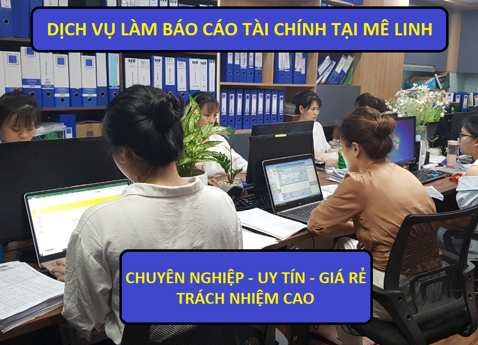 dịch vụ làm báo cáo tài chính tại Mê Linh